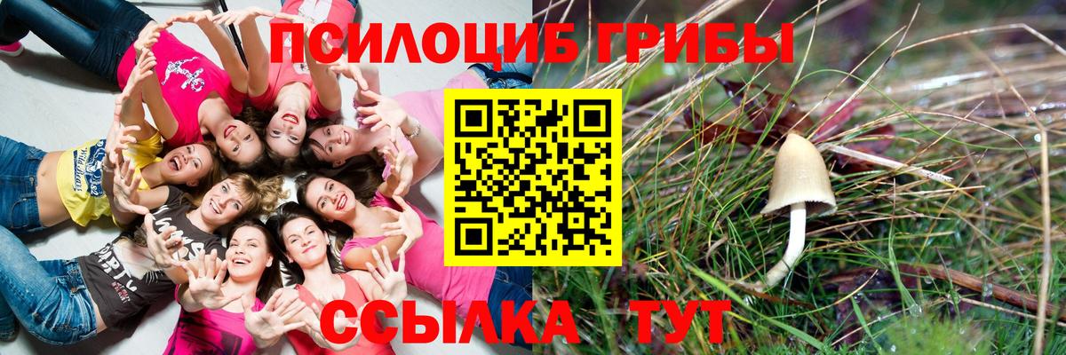 где можно купить   Вход с VPN  Снежинск  Галлюциногенные грибы мицелий 